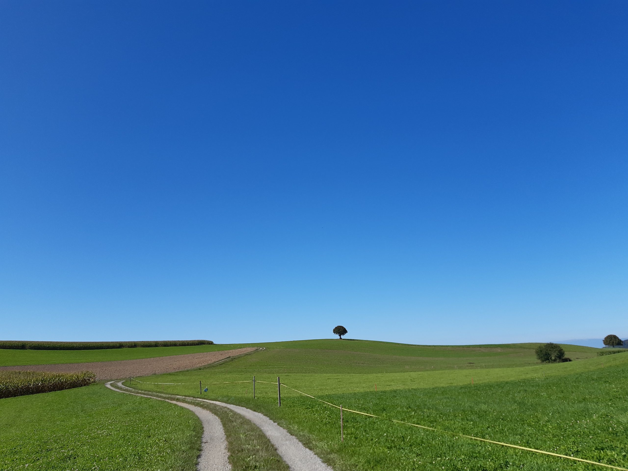 Home 20230926 122901